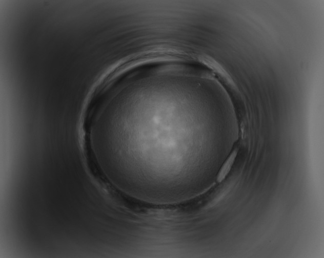X0000095680436200801081232