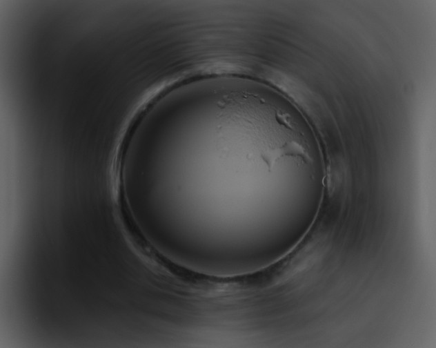 X0000095680438200801081232