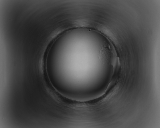 X0000095680439200801081232