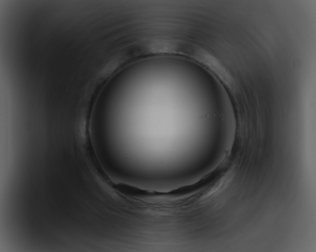 X0000095680441200801081232