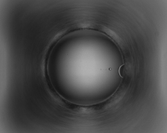 X0000095680442200801081232