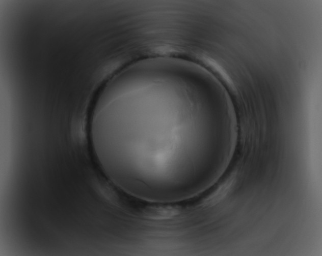 X0000095680443200801081232