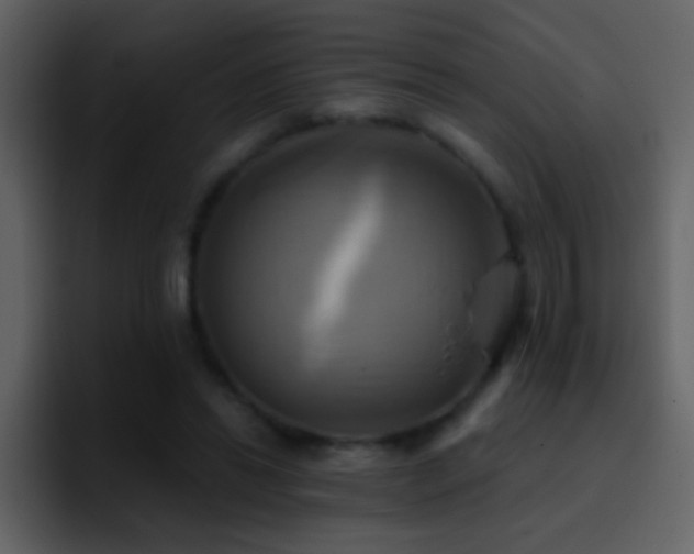 X0000095680446200801081232