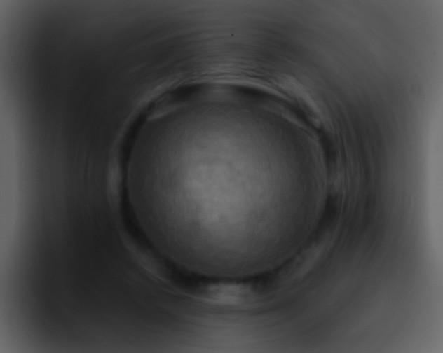 X0000095680448200801081232