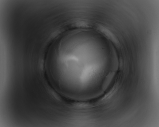 X0000095680449200801081232