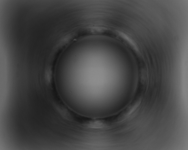 X0000095680451200801081232
