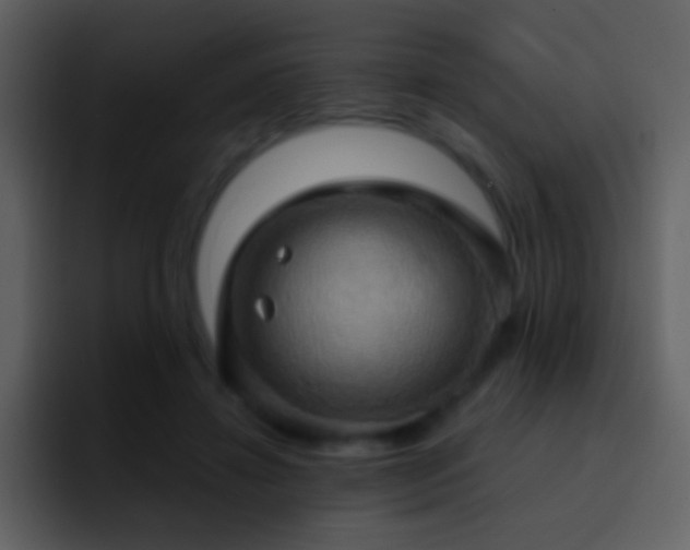 X0000095680452200801081232