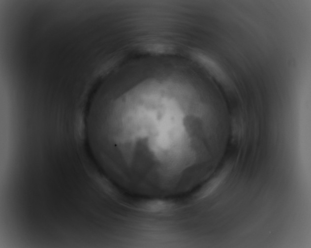 X0000095680453200801081232