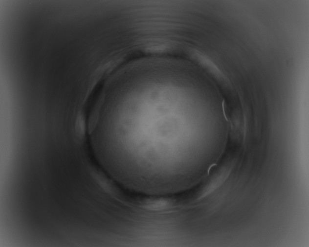 X0000095680454200801081232