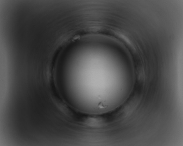 X0000095680455200801081232