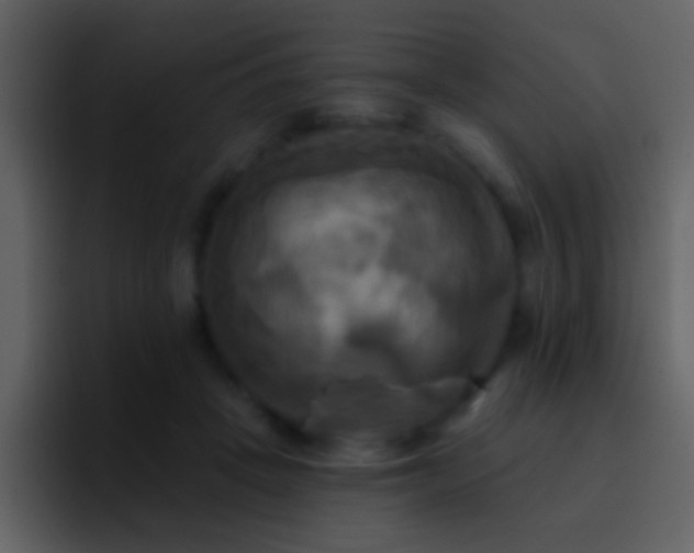 X0000095680457200801081232