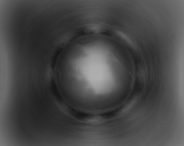 X0000095680459200801081232