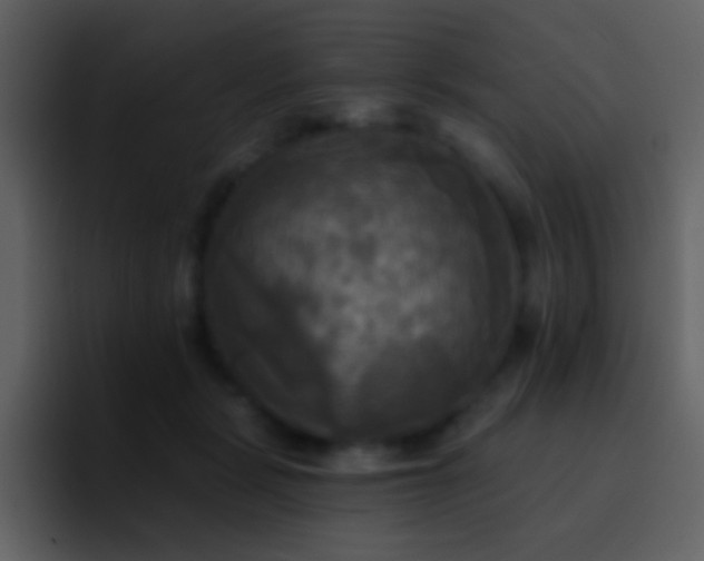 X0000095680461200801081232
