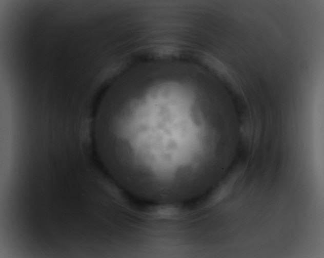 X0000095680462200801081232