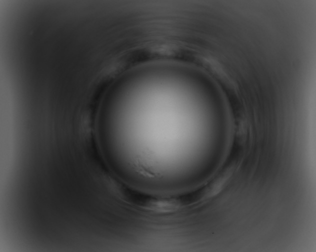 X0000095680466200801081232