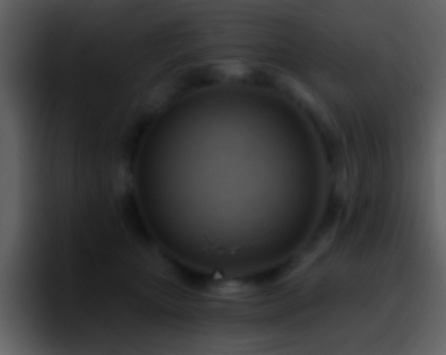 X0000095680467200801081232