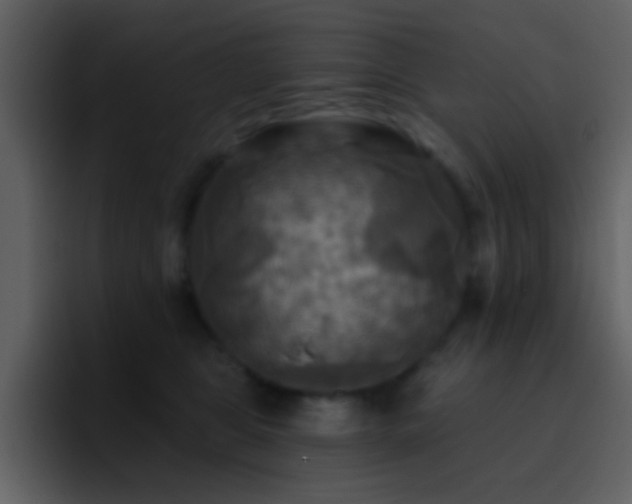 X0000095680469200801081232