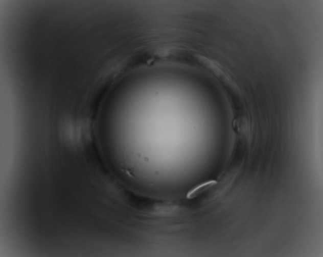 X0000095680470200801081232