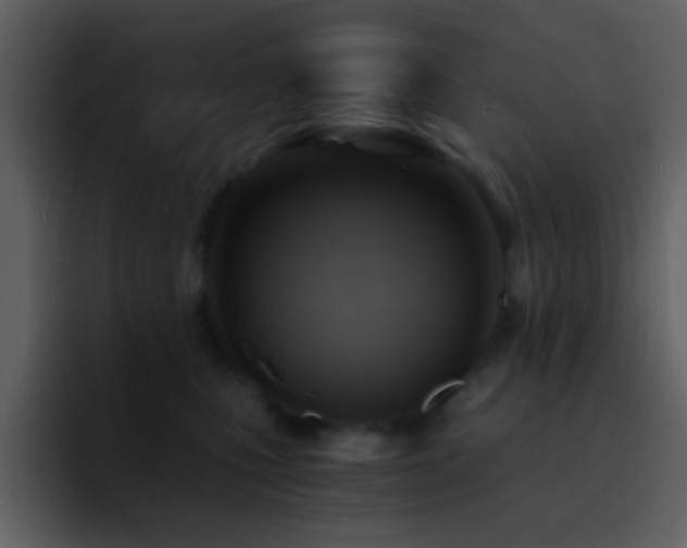 X0000095680471200801081232