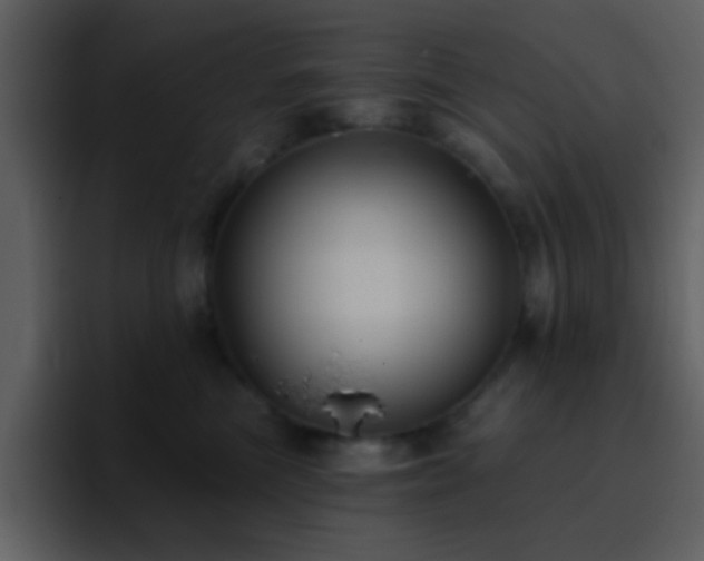 X0000095680473200801081232