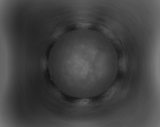 X0000095680474200801081232