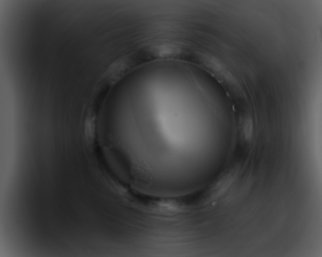 X0000095680475200801081232