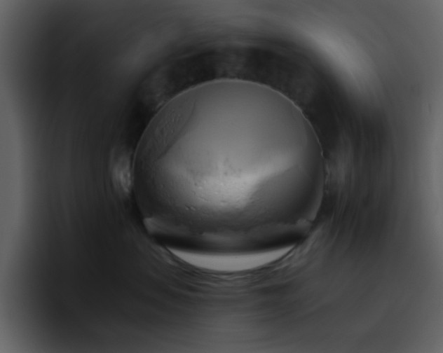 X0000095680479200801081232