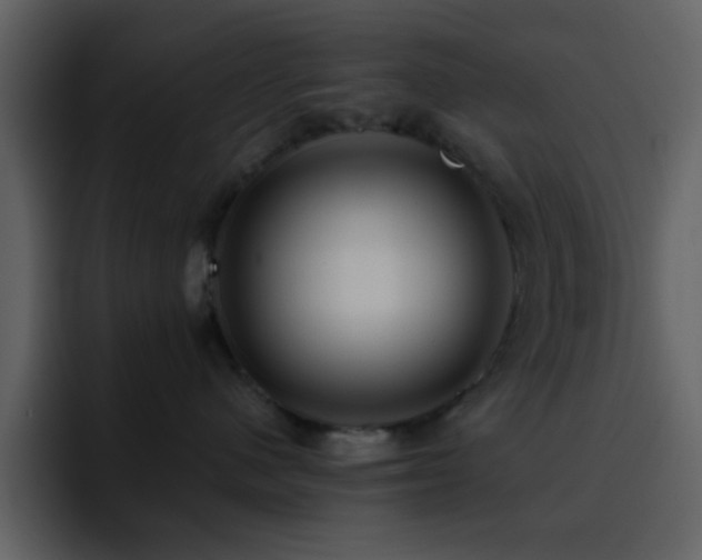 X0000095680480200801081232