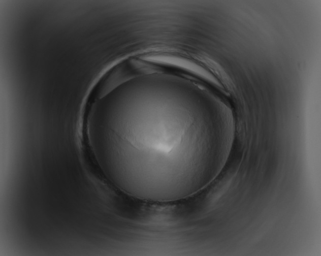 X0000095680484200801081232