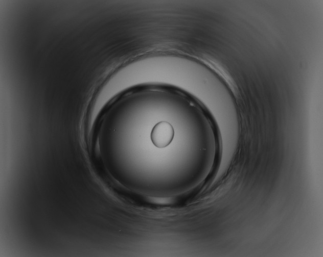 X0000095680485200801081232