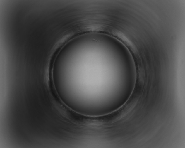 X0000095680486200801081232