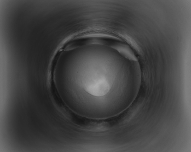 X0000095680488200801081232