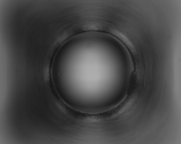 X0000095680489200801081232