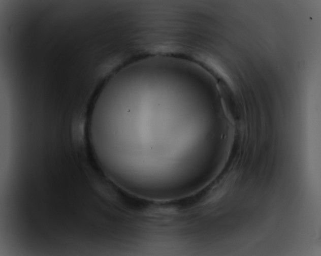X0000095680491200801081232
