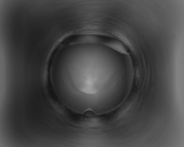 X0000095680492200801081232
