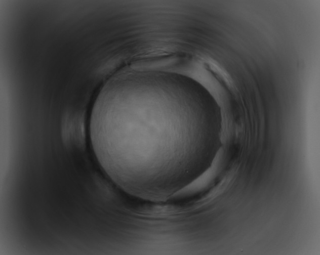 X0000095680493200801081232