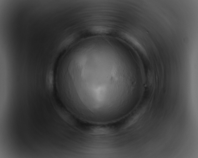 X0000095680494200801081232