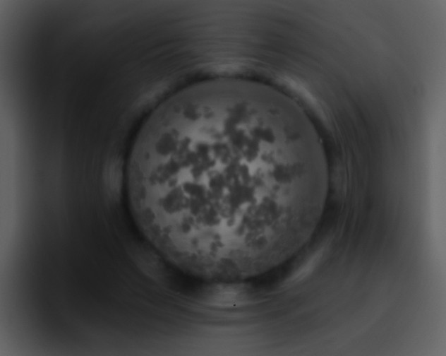 X0000095680495200801081232