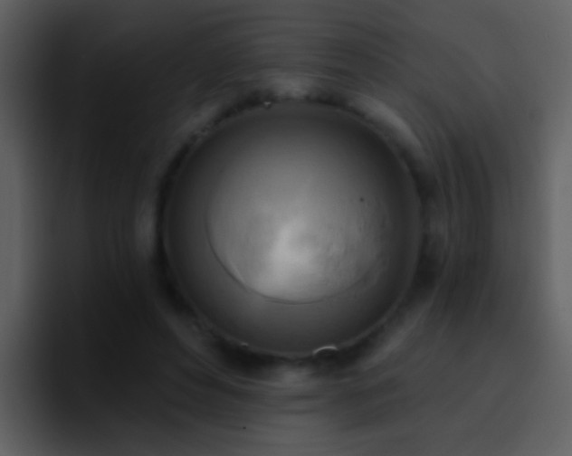 X0000095680496200801081232