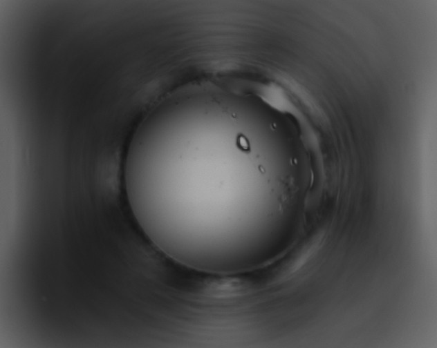 X0000095680497200801081232