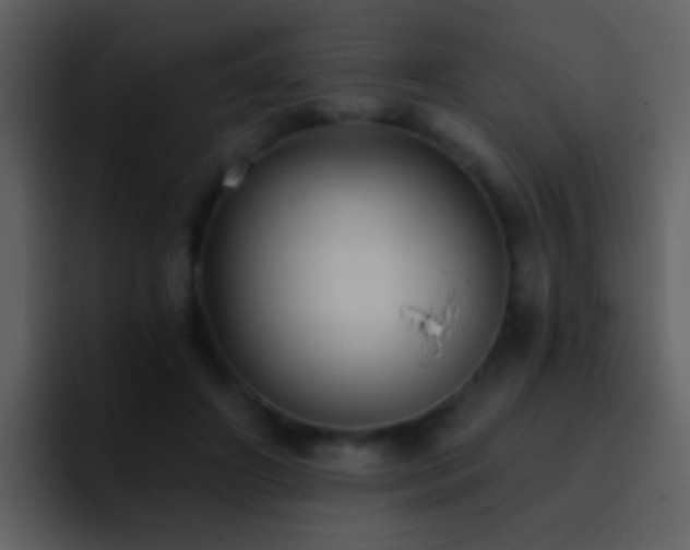 X0000095680498200801081232