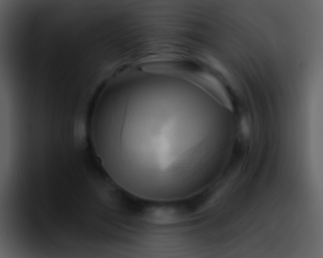 X0000095680500200801081231