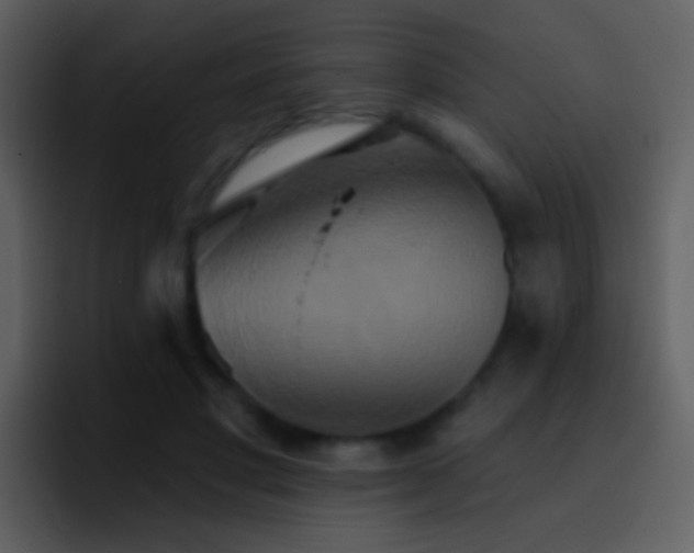 X0000095680501200801081231