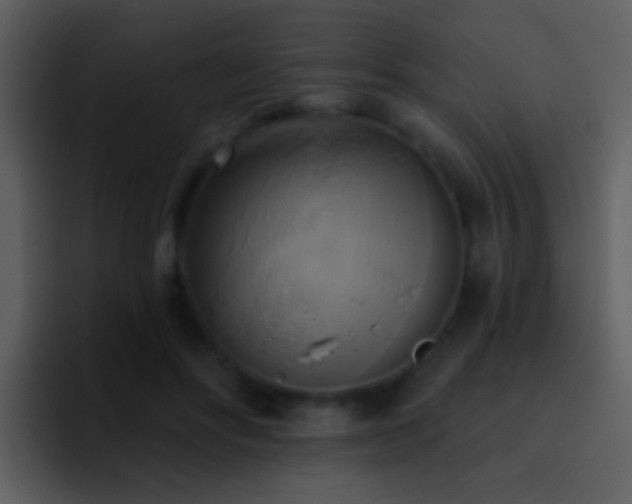 X0000095680502200801081231