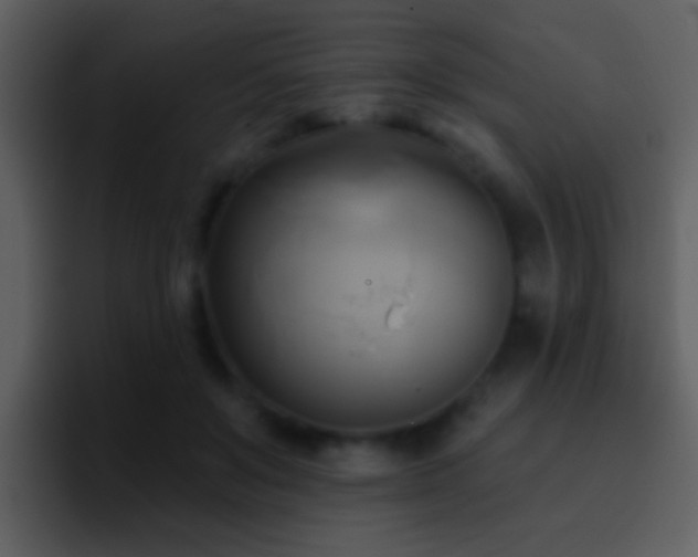X0000095680503200801081231