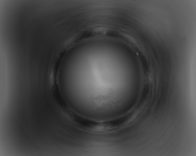X0000095680504200801081231