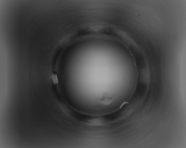 X0000095680505200801081231