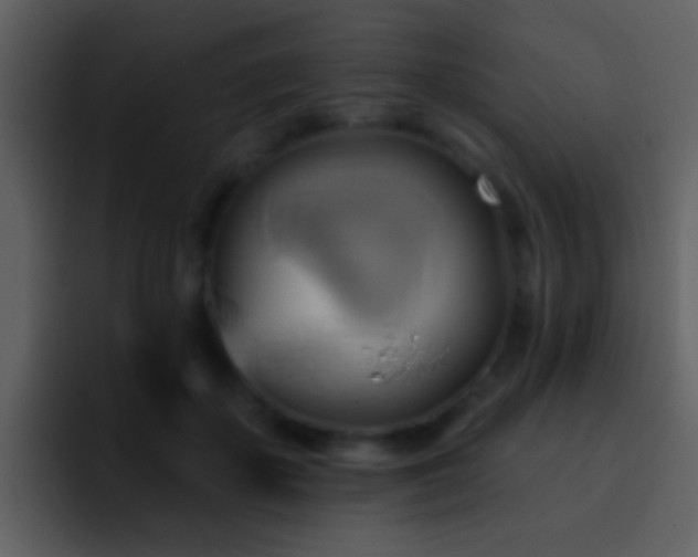 X0000095680507200801081231