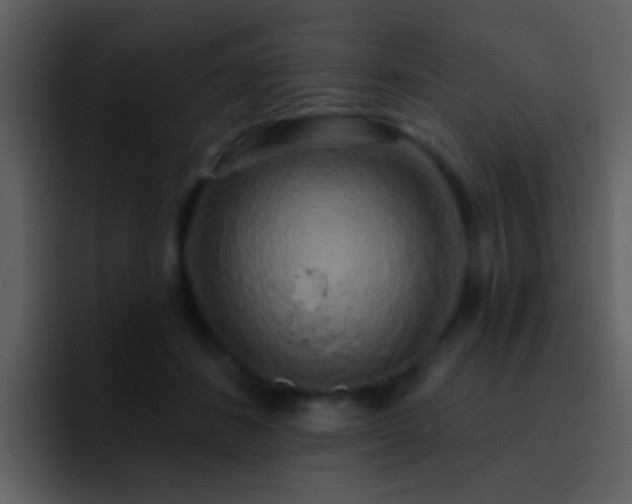 X0000095680508200801081231