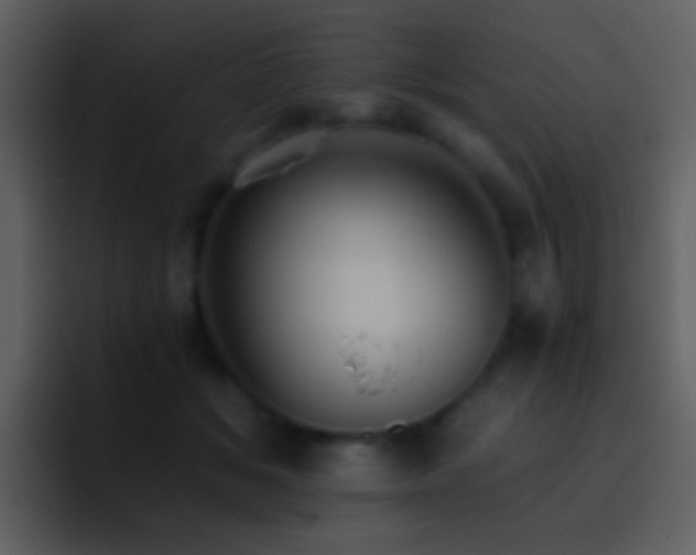 X0000095680509200801081231